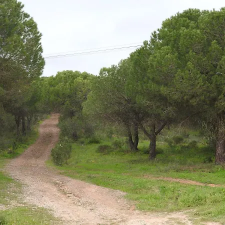 Quinta Do Pego Azul - Country House Εξοχικό σπίτι