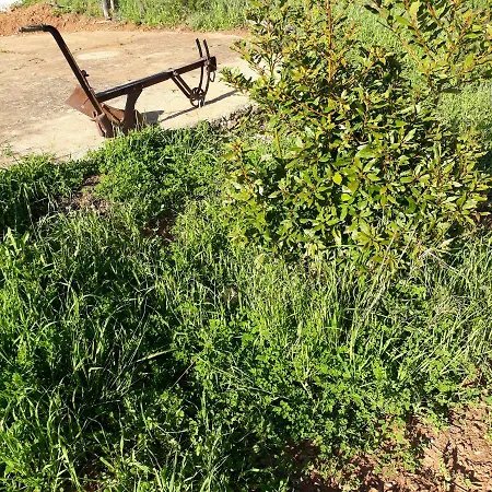 Εξοχικό σπίτι Quinta Do Pego Azul - Country House